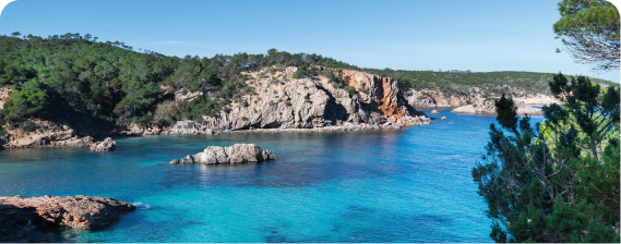 A body of water with rocks and trees in the background.